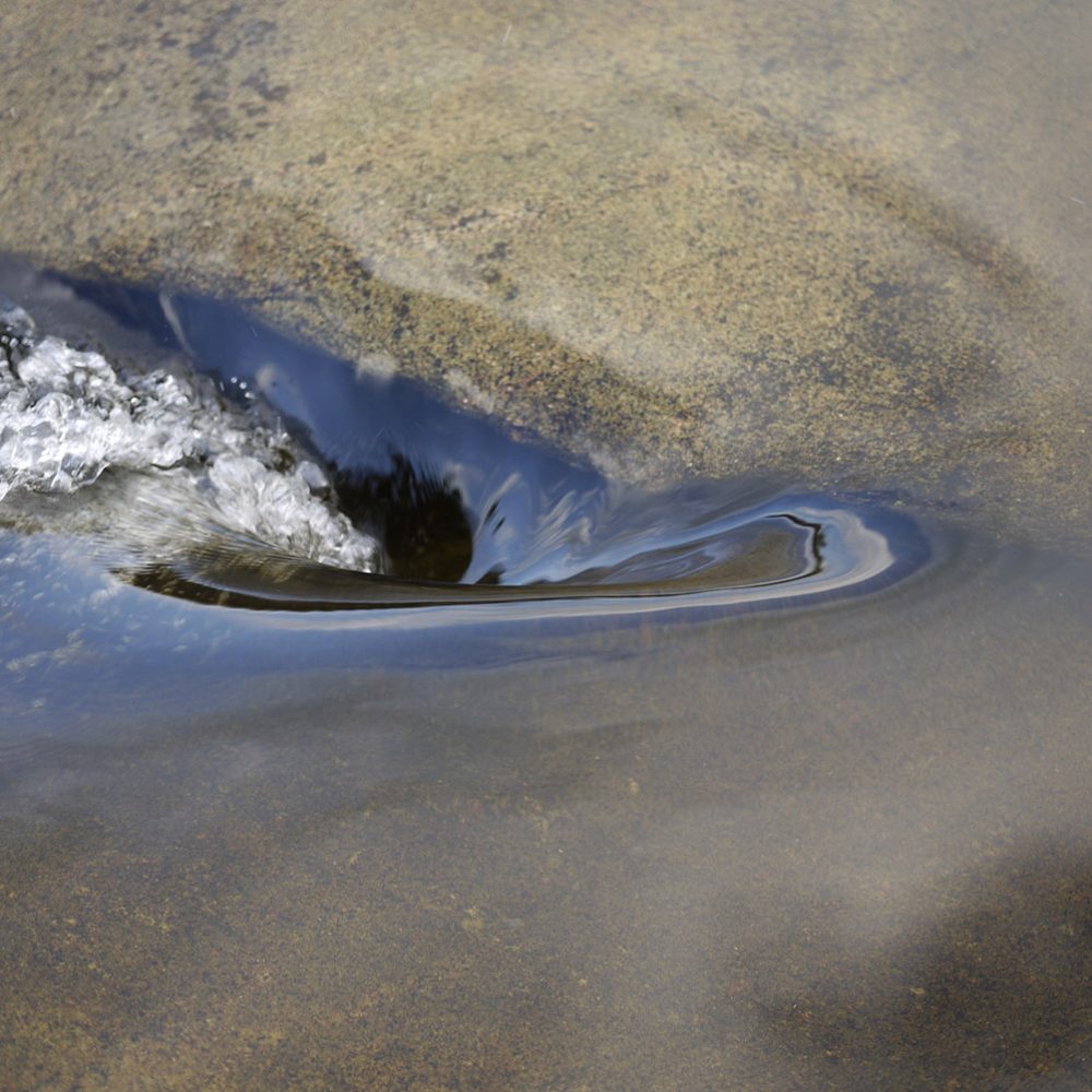 Fotografía digital – 203