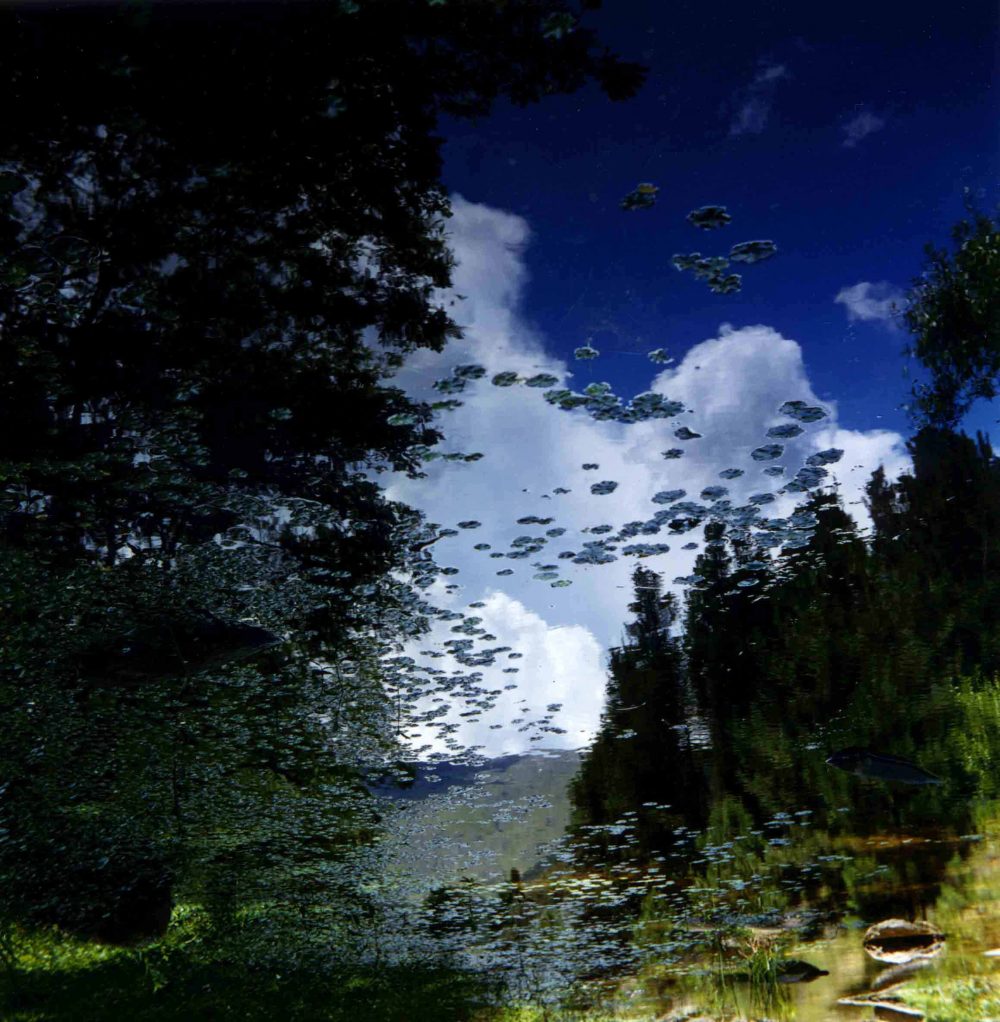 Fotografía analógica – 27