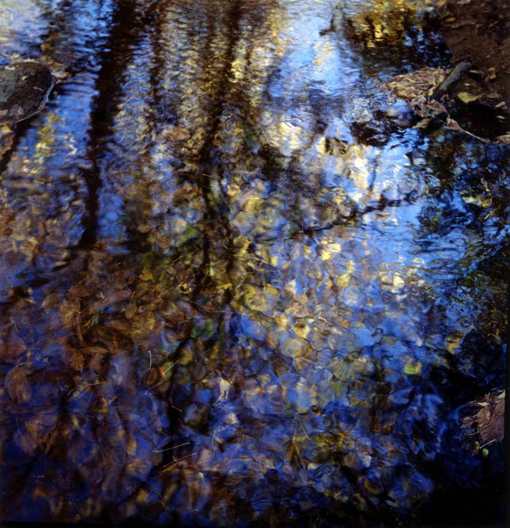 Fotografía analógica – 33