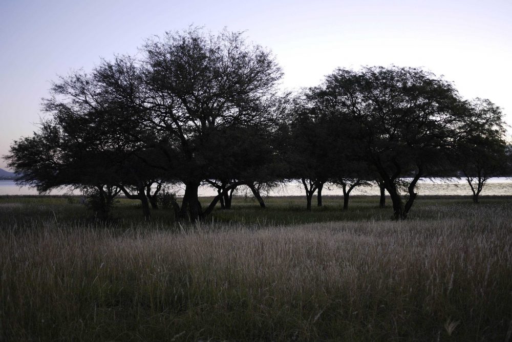 15. Fotografía digital. 290