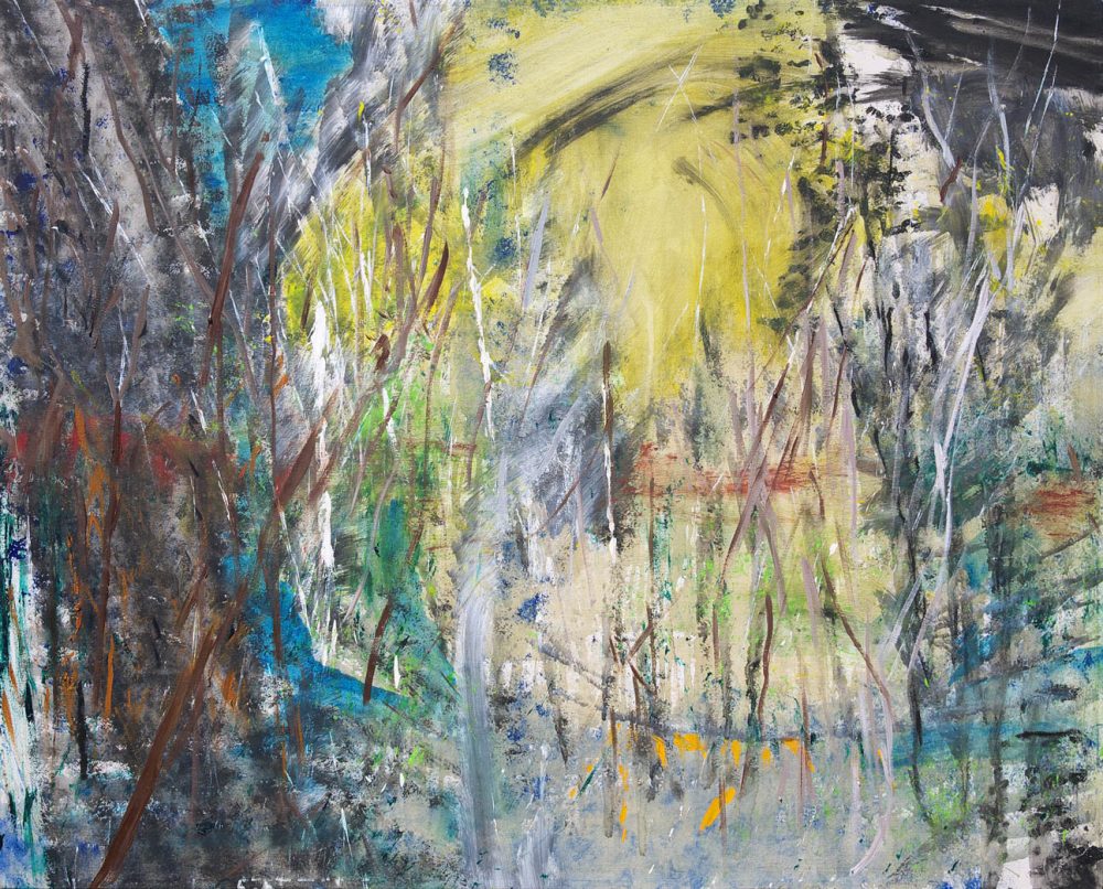 2009-08. Sin título – Acrílico sobre tela 80x100cm. Año 2009