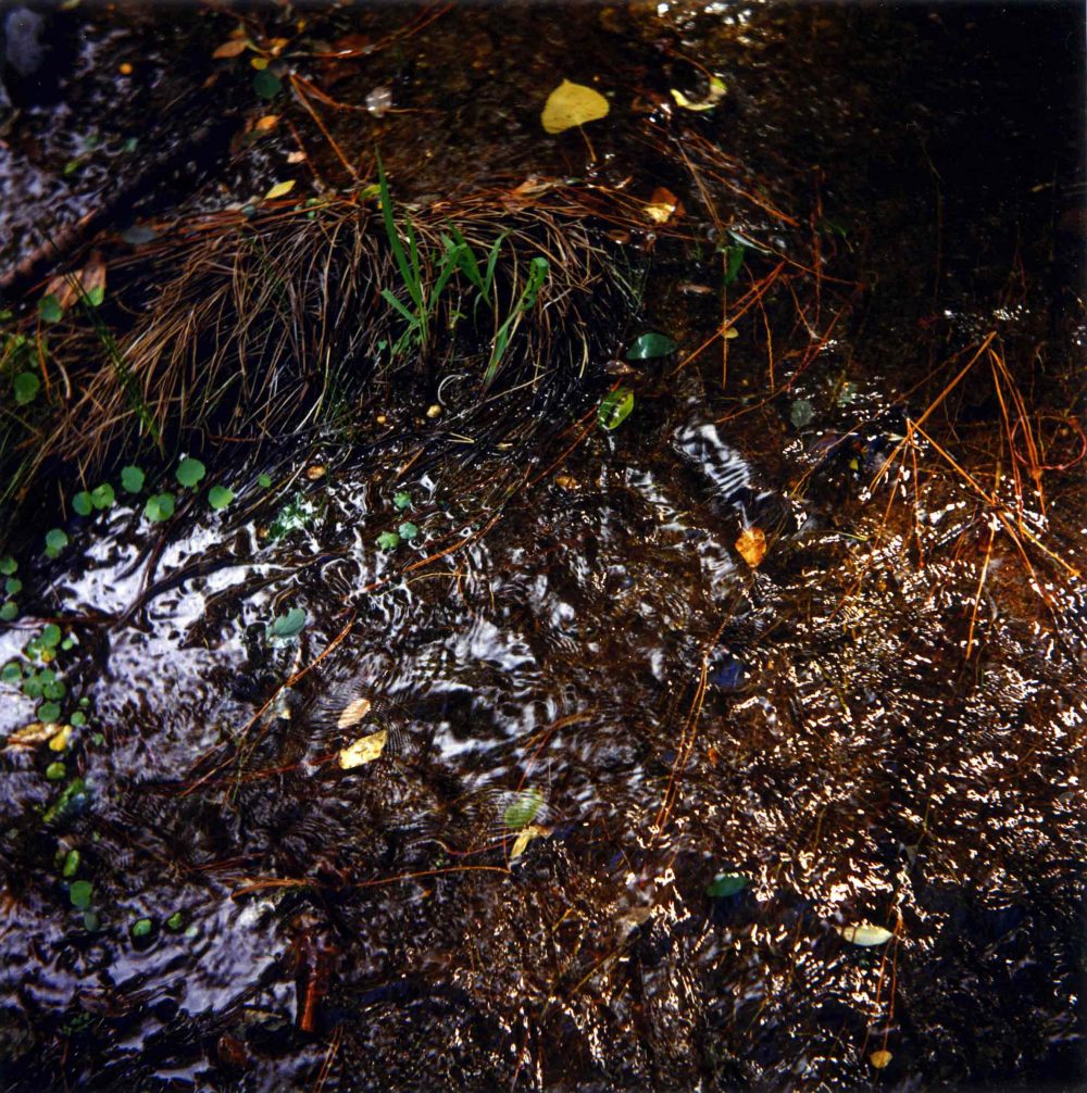 Fotografía analógica – 78