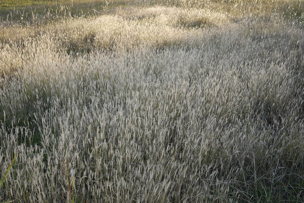 Fotografía digital. 267