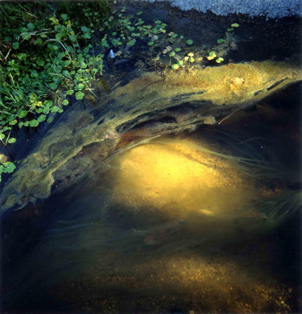 Fotografía analógica – 56