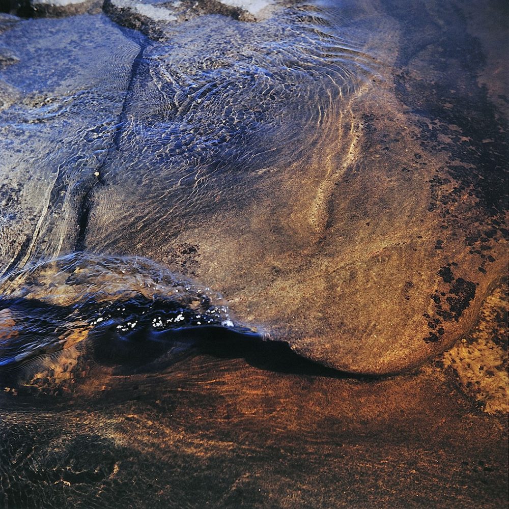 Fotografía analógica – 195