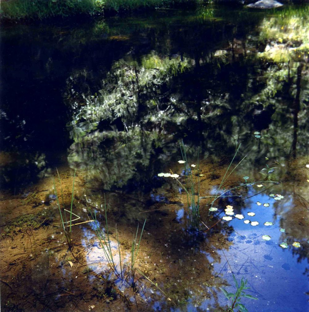 Fotografia analogica – 47