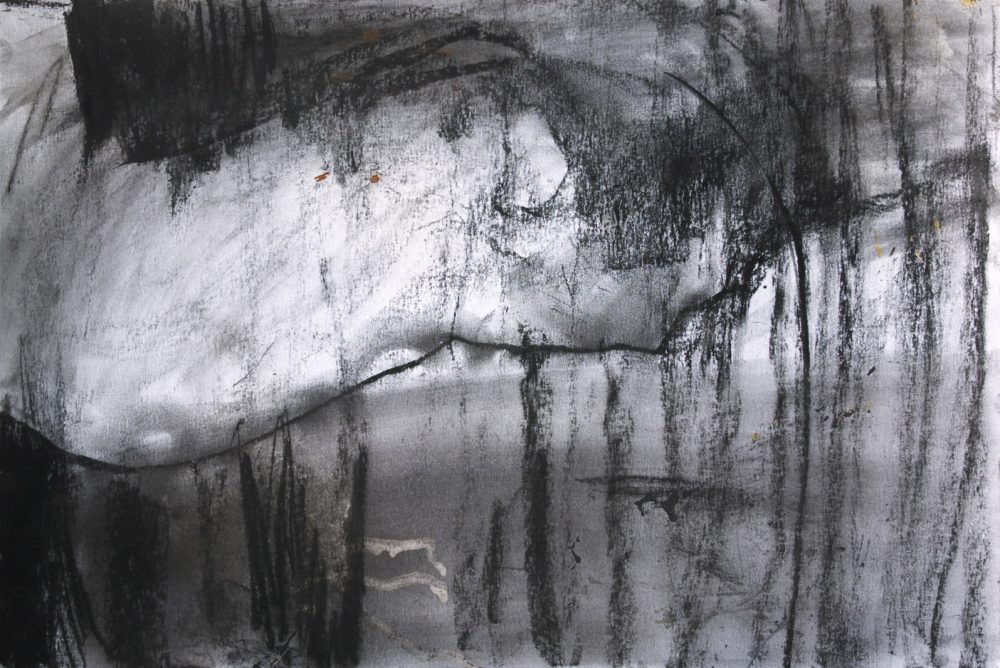 2011-13 Sin título – Técnica mixta sobre papel 50x70cm. Año 2011