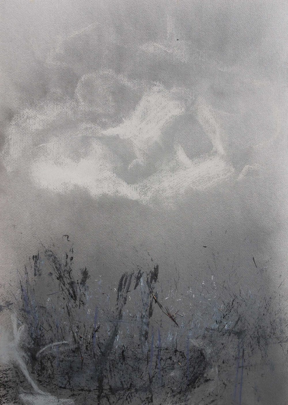 2011-91. Sin título – Grafito, Tiza pastel y Acrílico sobre papel – 70x50cm. Año 2011