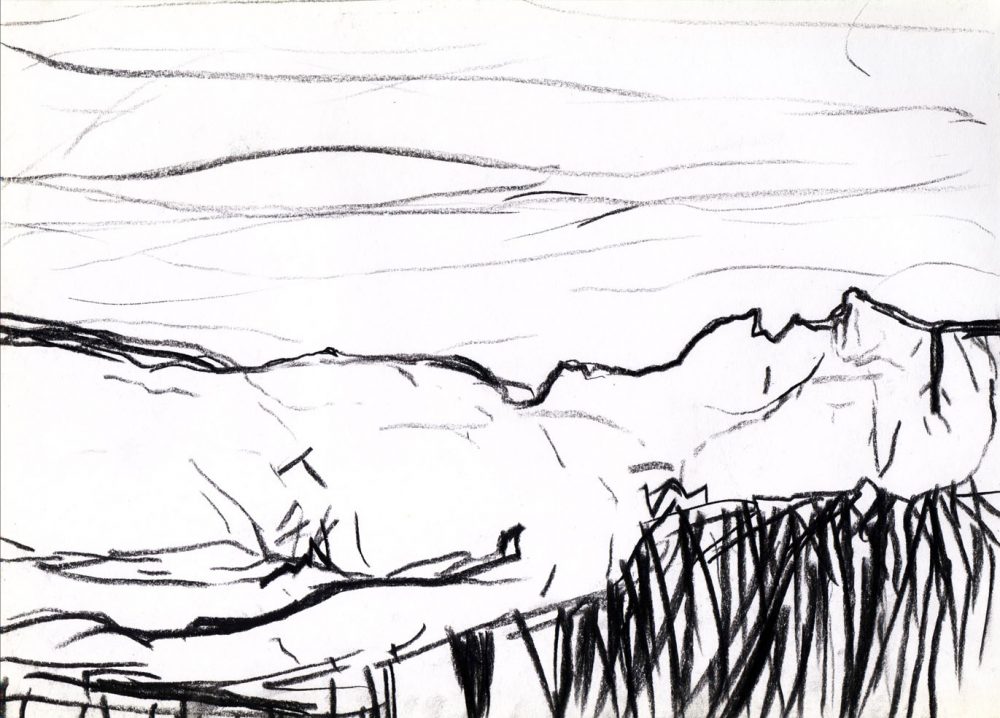 2004-18. Los gusanos no te comerán el alma – Carbón sobre papel – 29x21cm. Año 2004